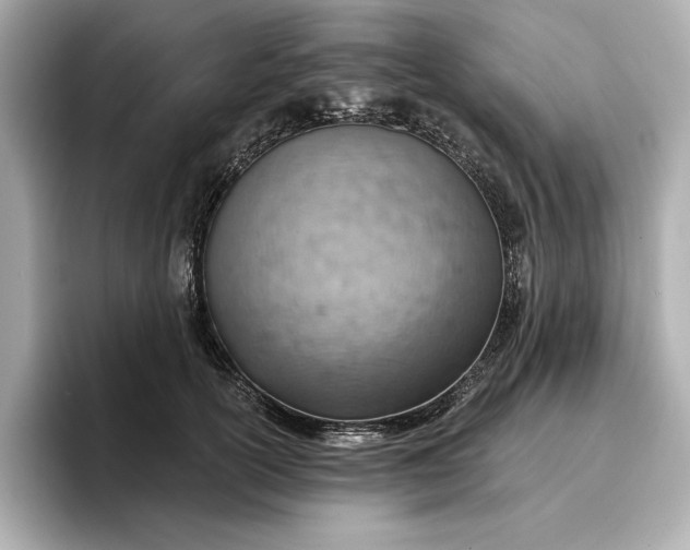 X0000096950754200802221322