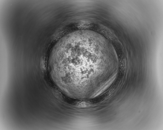 X0000096950755200802221322