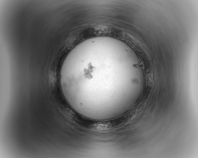 X0000096950756200802221322