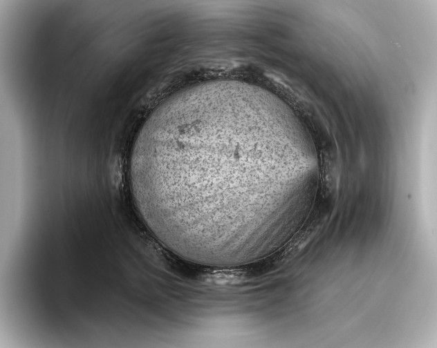 X0000096950758200802221322