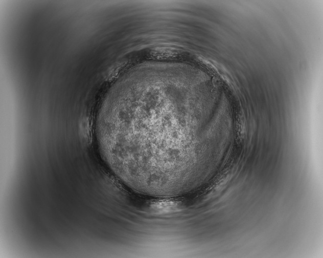 X0000096950759200802221322