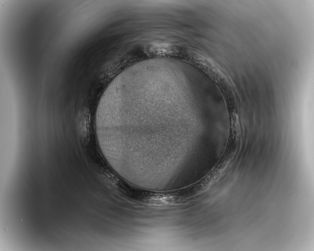 X0000096950760200802221322