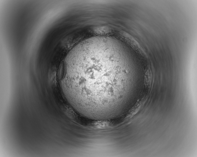X0000096950762200802221322