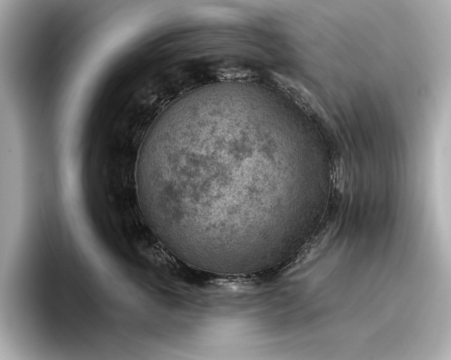 X0000096950763200802221322