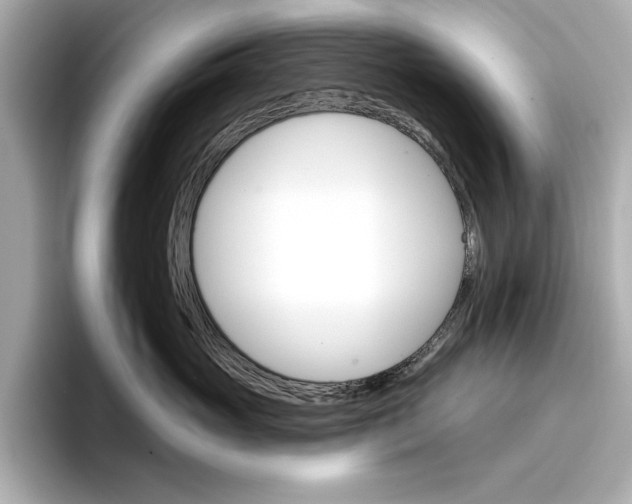 X0000096950765200802221322