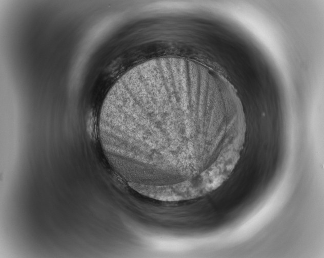 X0000096950766200802221322