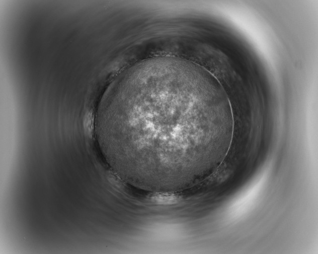 X0000096950767200802221322