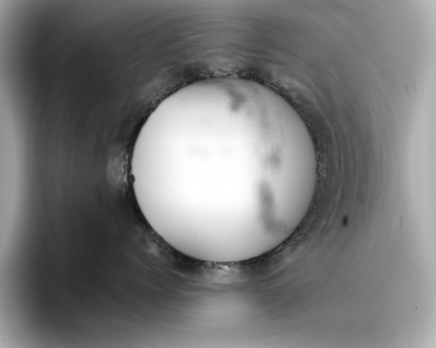 X0000096950768200802221322