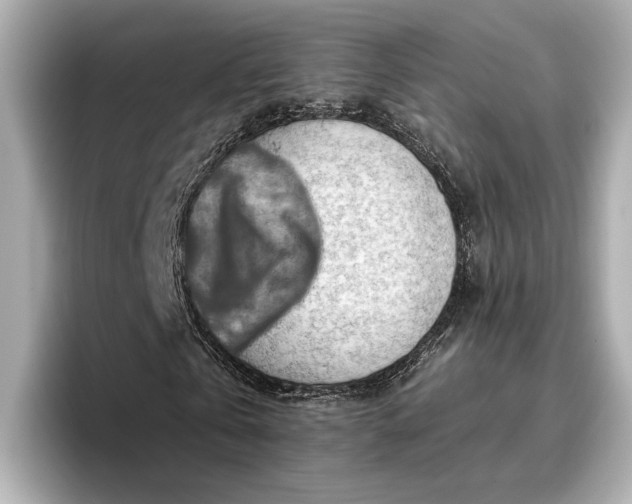 X0000096950769200802221321