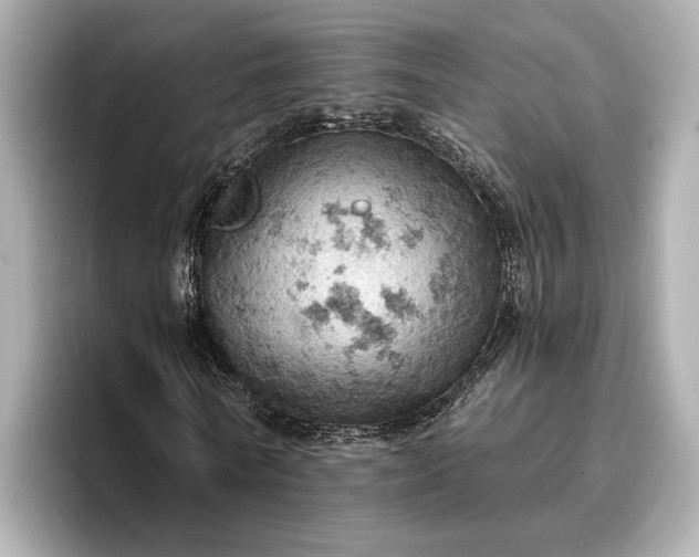X0000096950770200802221321