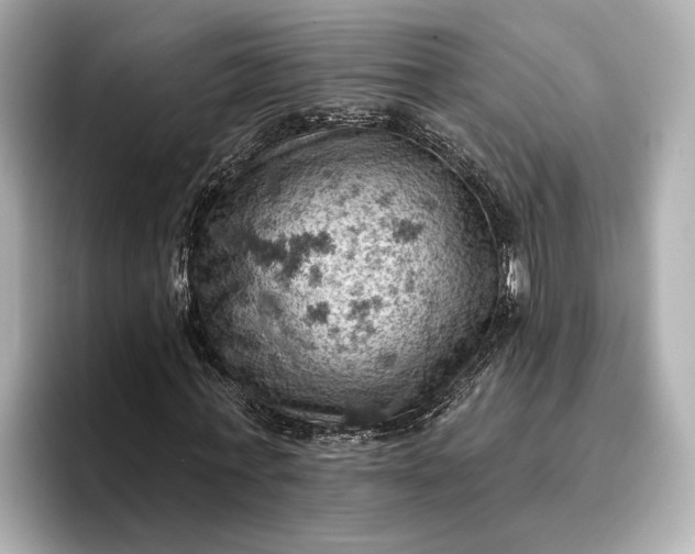X0000096950771200802221321