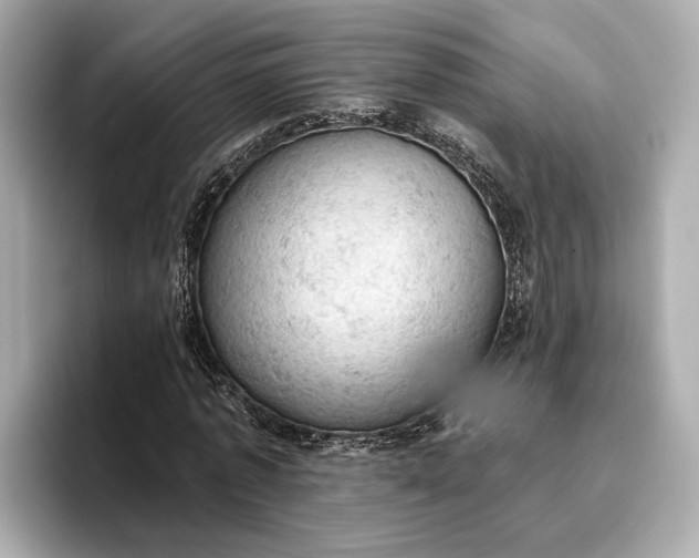 X0000096950773200802221321