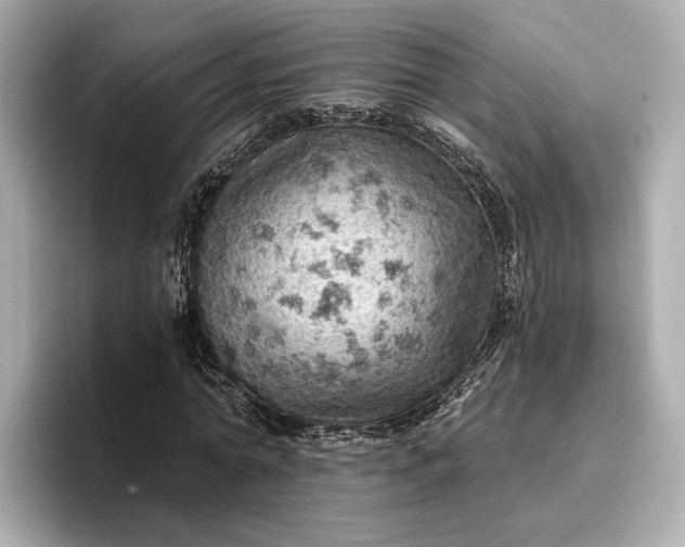 X0000096950774200802221321