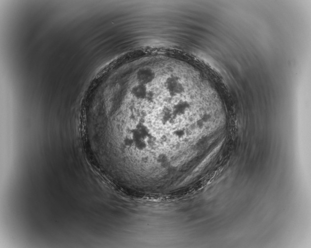 X0000096950775200802221321