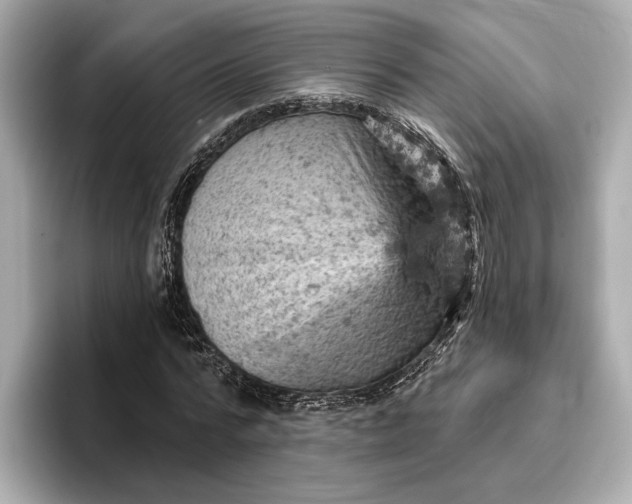 X0000096950776200802221321