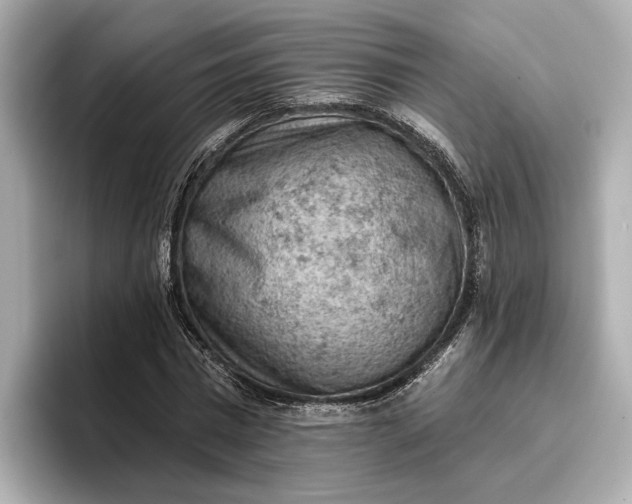 X0000096950777200802221321