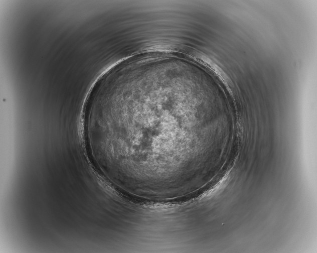 X0000096950779200802221321