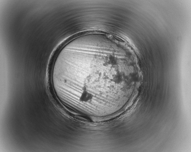X0000096950780200802221321