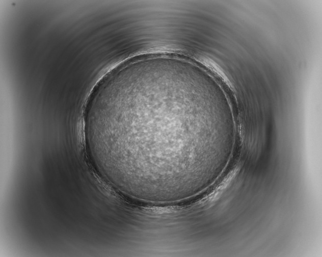 X0000096950781200802221321