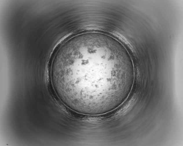 X0000096950782200802221321