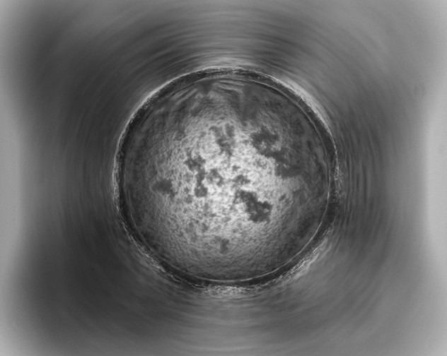X0000096950783200802221321
