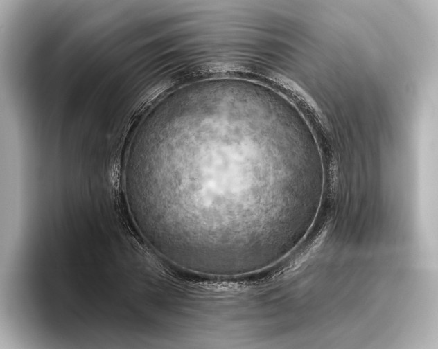 X0000096950785200802221321