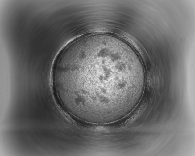 X0000096950787200802221321