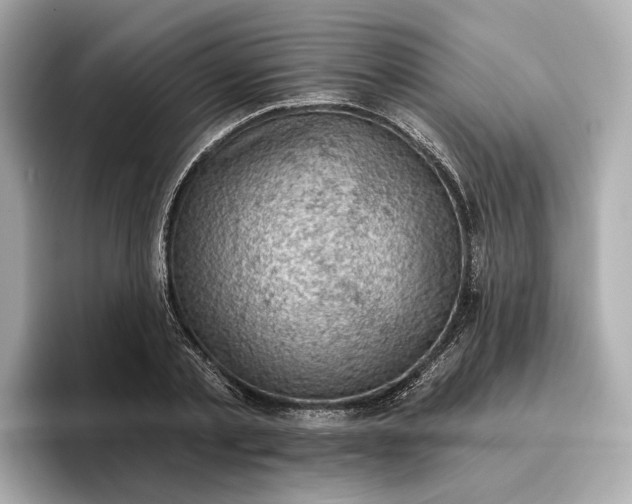 X0000096950789200802221321