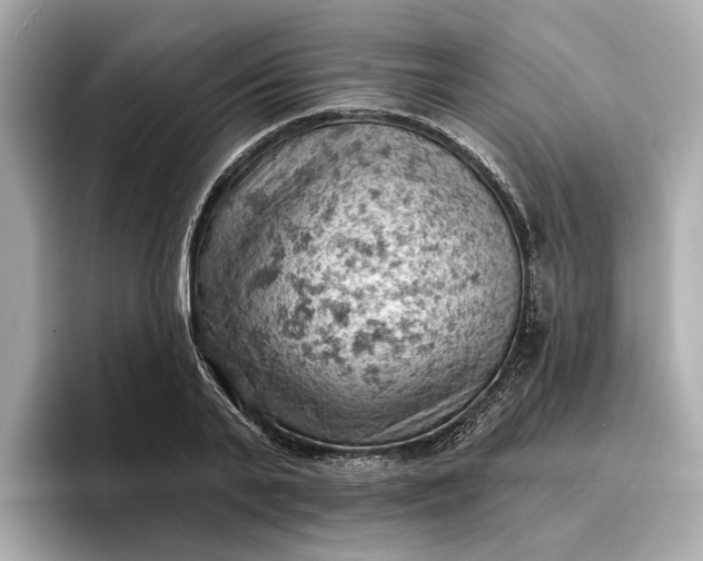 X0000096950791200802221321