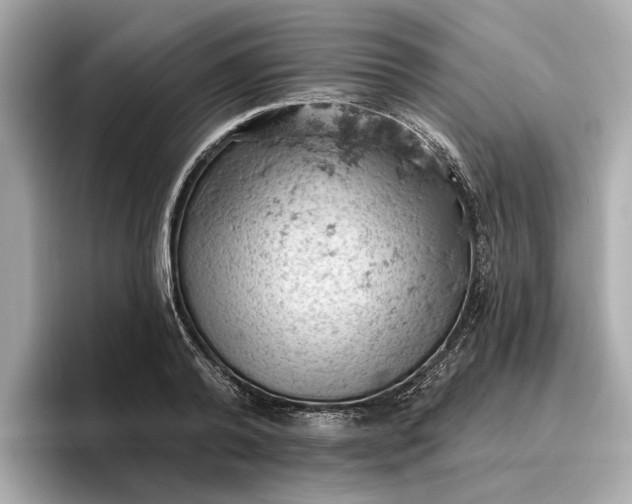 X0000096950792200802221321