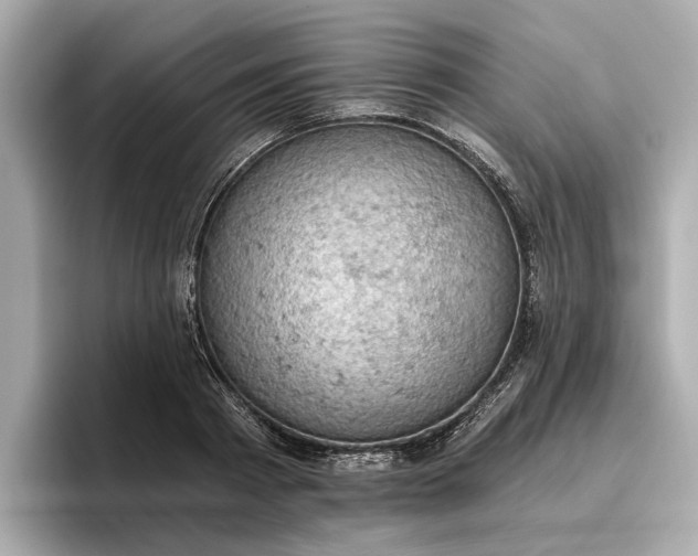 X0000096950793200802221321