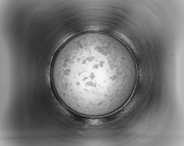 X0000096950794200802221321