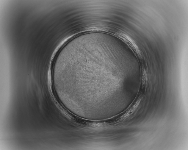 X0000096950796200802221321