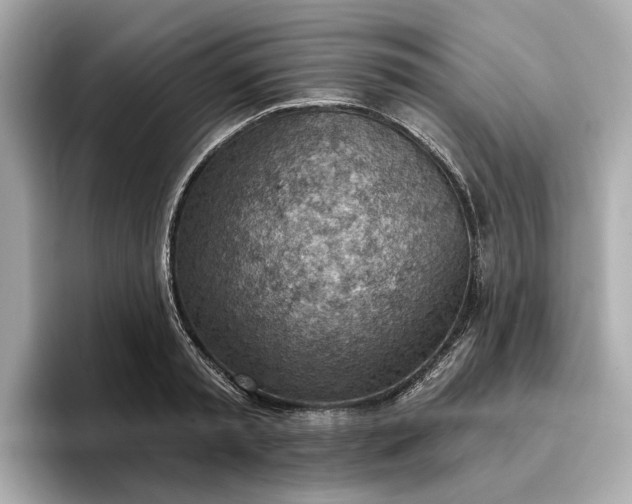 X0000096950797200802221321