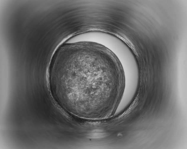 X0000096950798200802221321