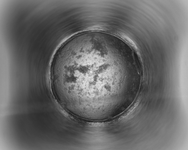 X0000096950800200802221321
