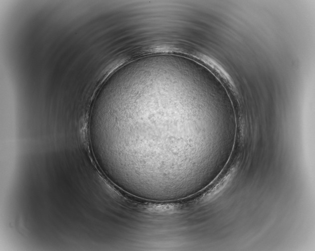 X0000096950801200802221321