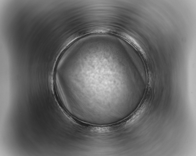 X0000096950802200802221321