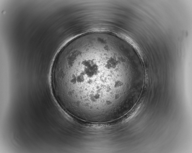 X0000096950803200802221321