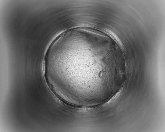 X0000096950804200802221321