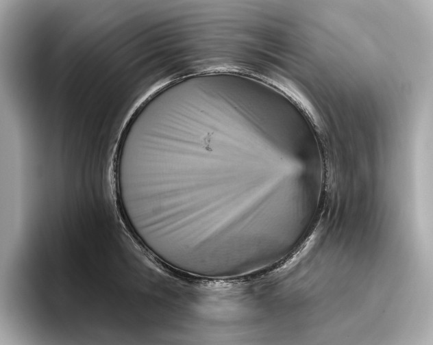 X0000096950806200802221321