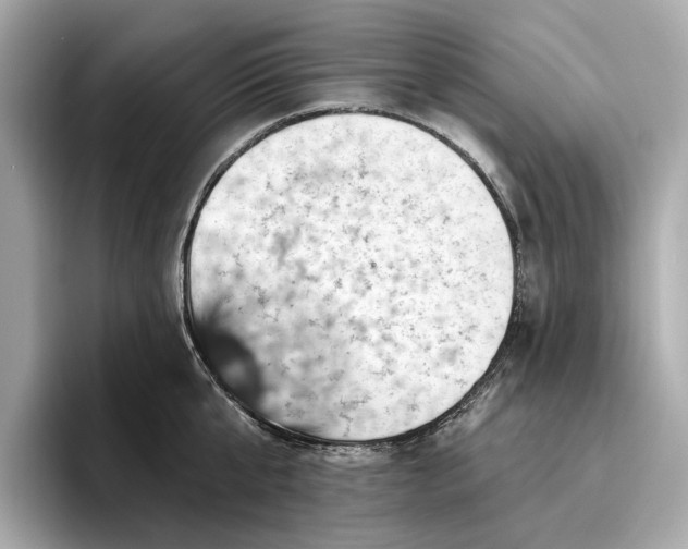 X0000096950807200802221321