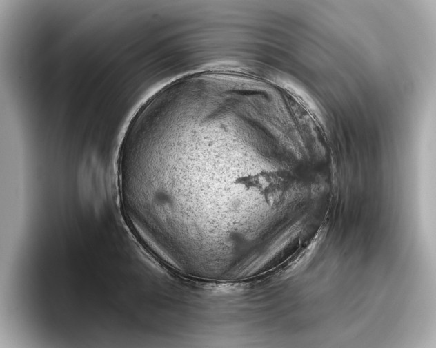 X0000096950808200802221321