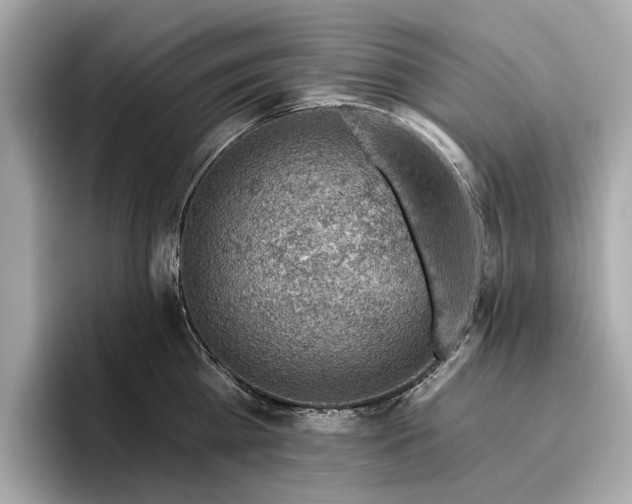 X0000096950809200802221321