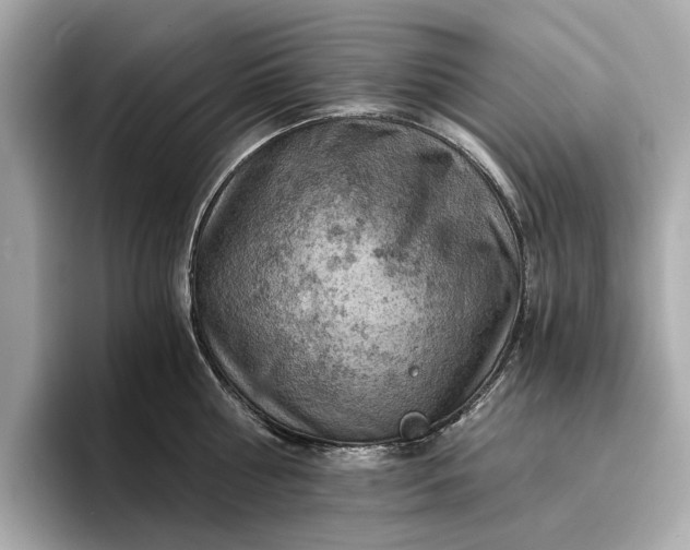 X0000096950810200802221321
