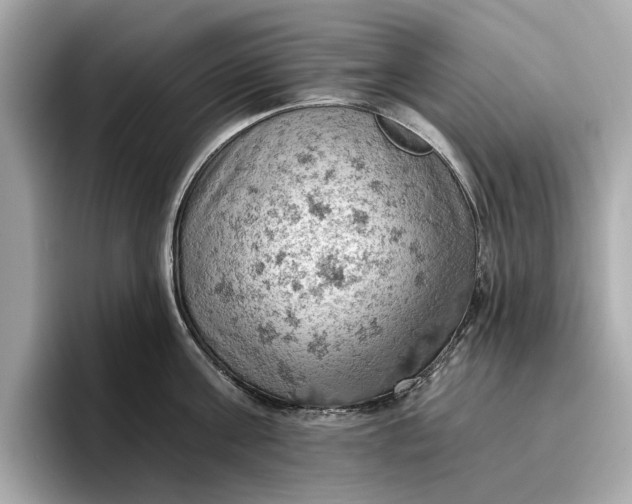 X0000096950811200802221321
