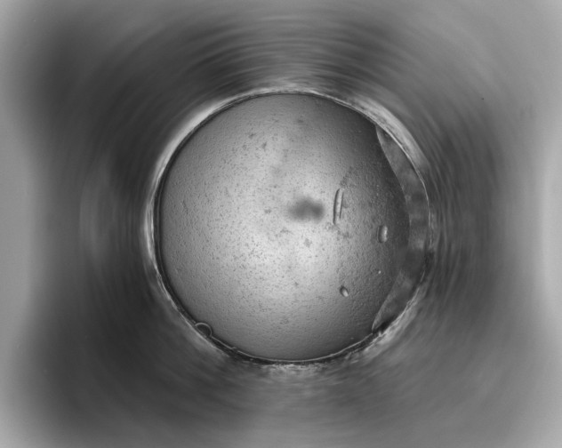 X0000096950812200802221321