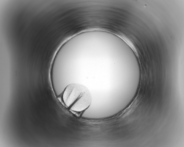 X0000096950813200802221321