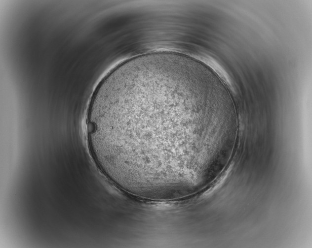 X0000096950814200802221321