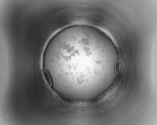 X0000096950815200802221321